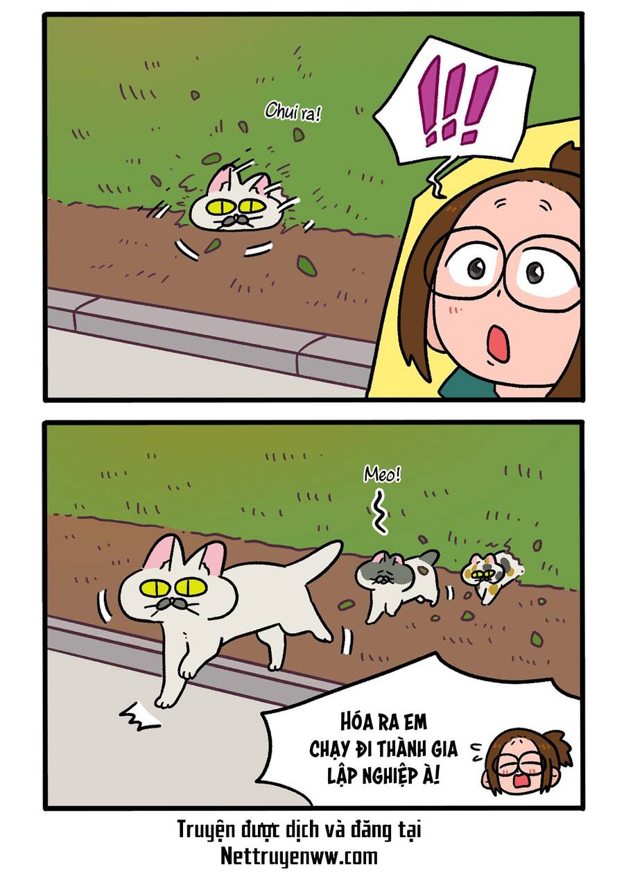 a mãn và mạch trà chapter 140.1 4