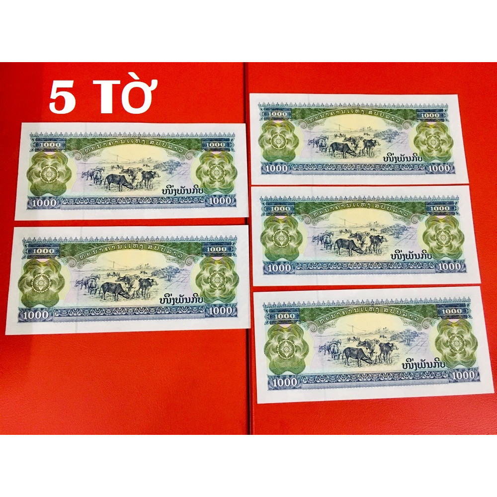 05 tờ tiền hình trâu của Lào lì xì Tết 2021 - đi kèm bao lì xì - The merrick Mint