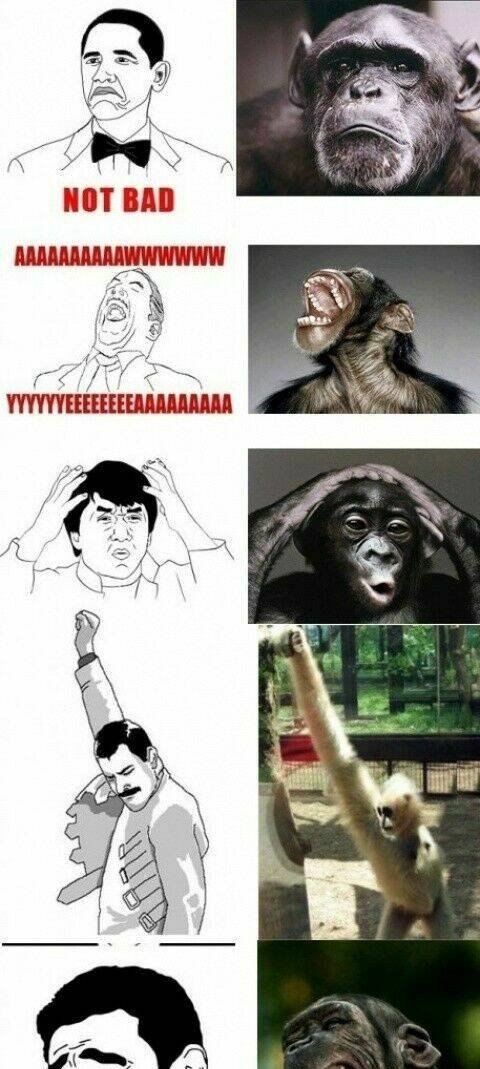 rage comic-troll chapter 33 2