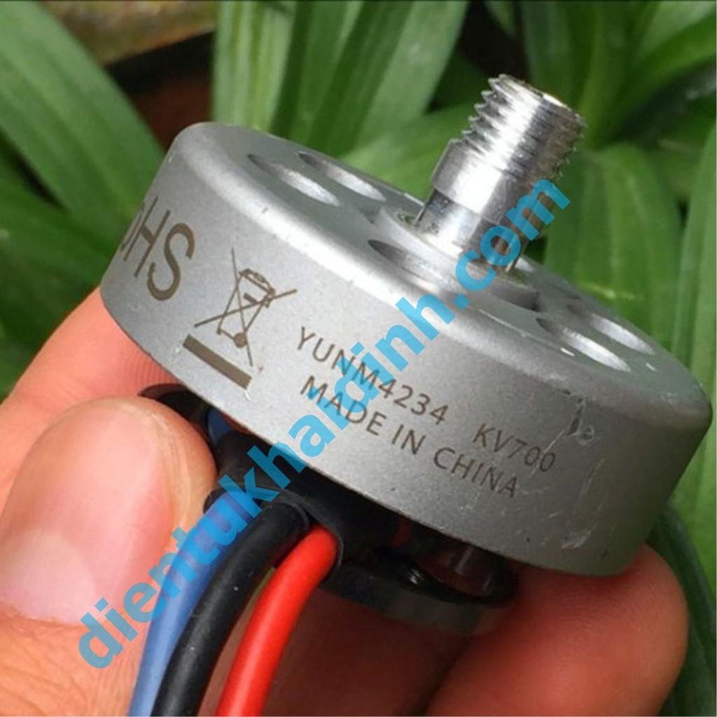 ĐỘNG CƠ BRUSHLESS KHÔNG CHỔI THAN YUNM4234 700kv 12V 88g B THUẬN/NGHỊCH kde3603-3604