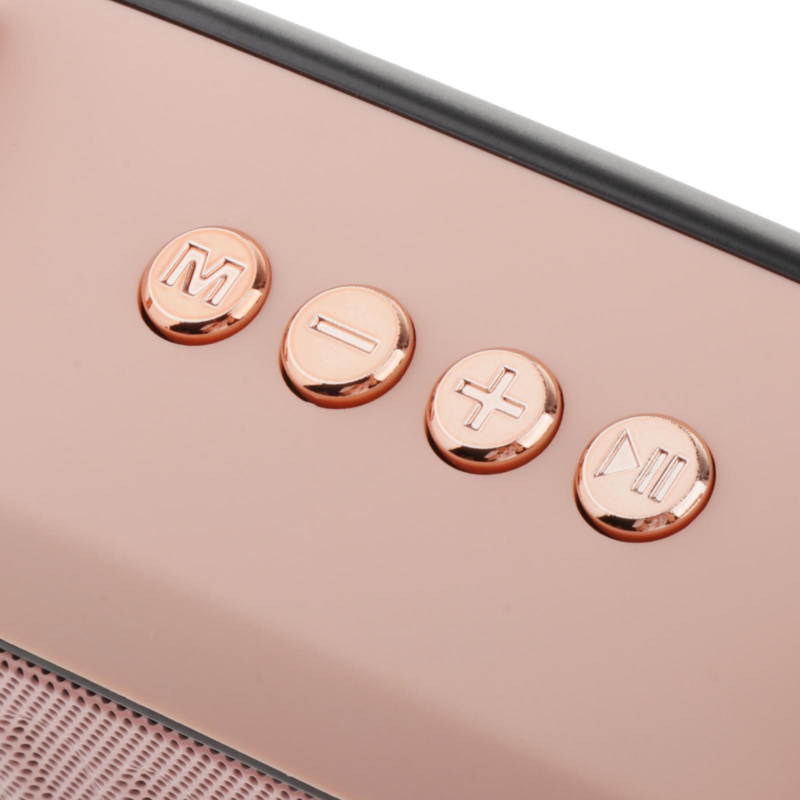 Stylish Portable Bluetooth Amplifier with Mic 800mah Handsfree FM Radio Bass