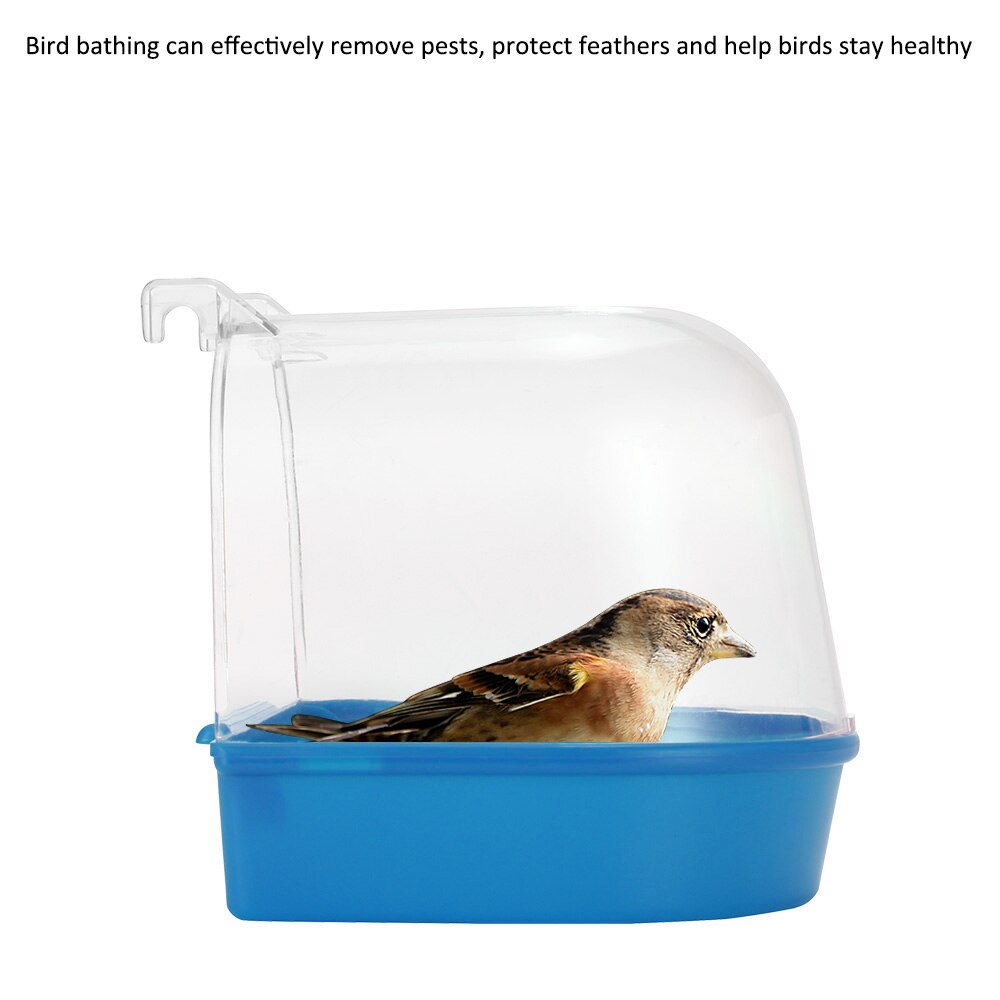 Nhà tắm cho chim cảnh bồ câu nhà tắm hamster