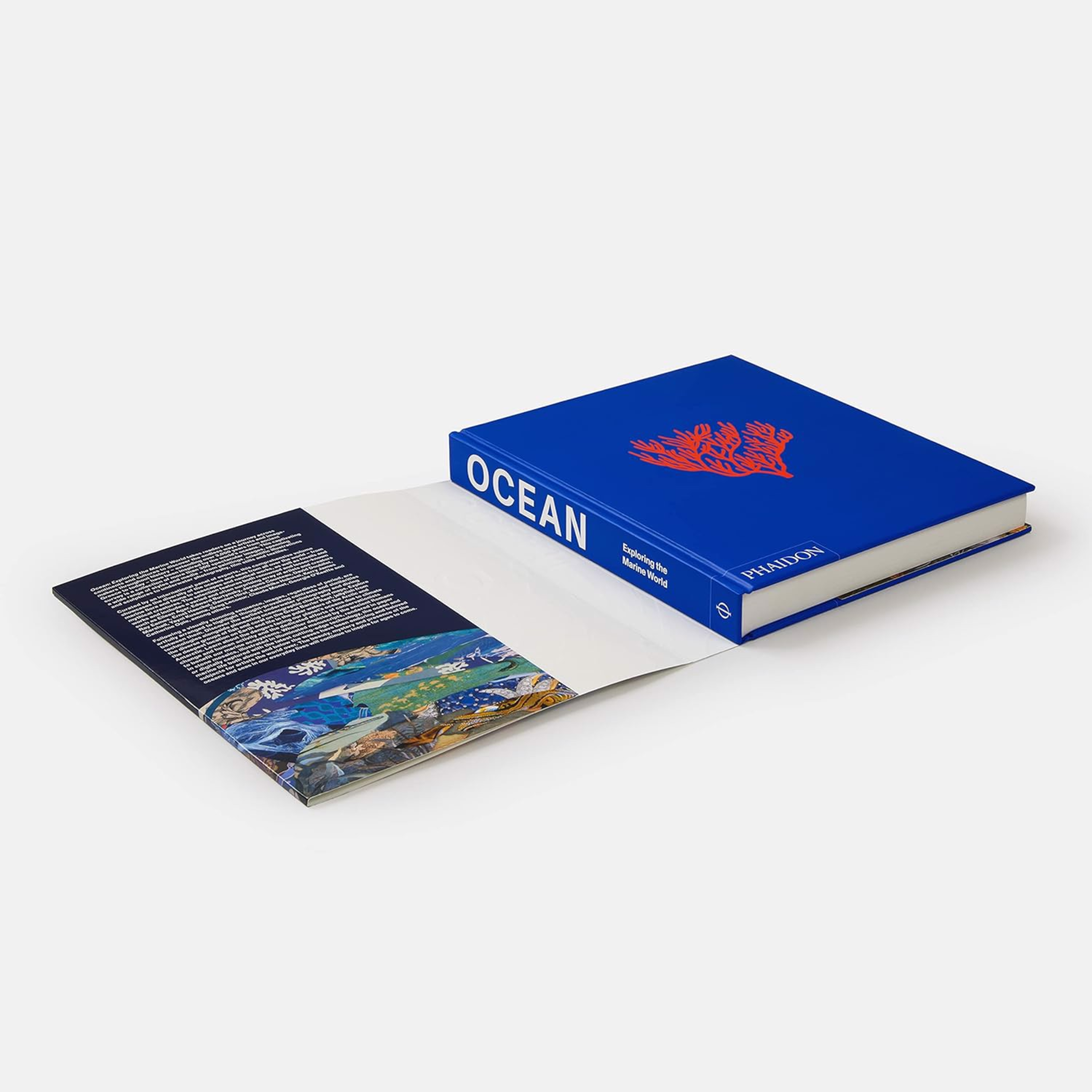 Artbook - Sách Tiếng Anh -  Ocean: Exploring the Marine World