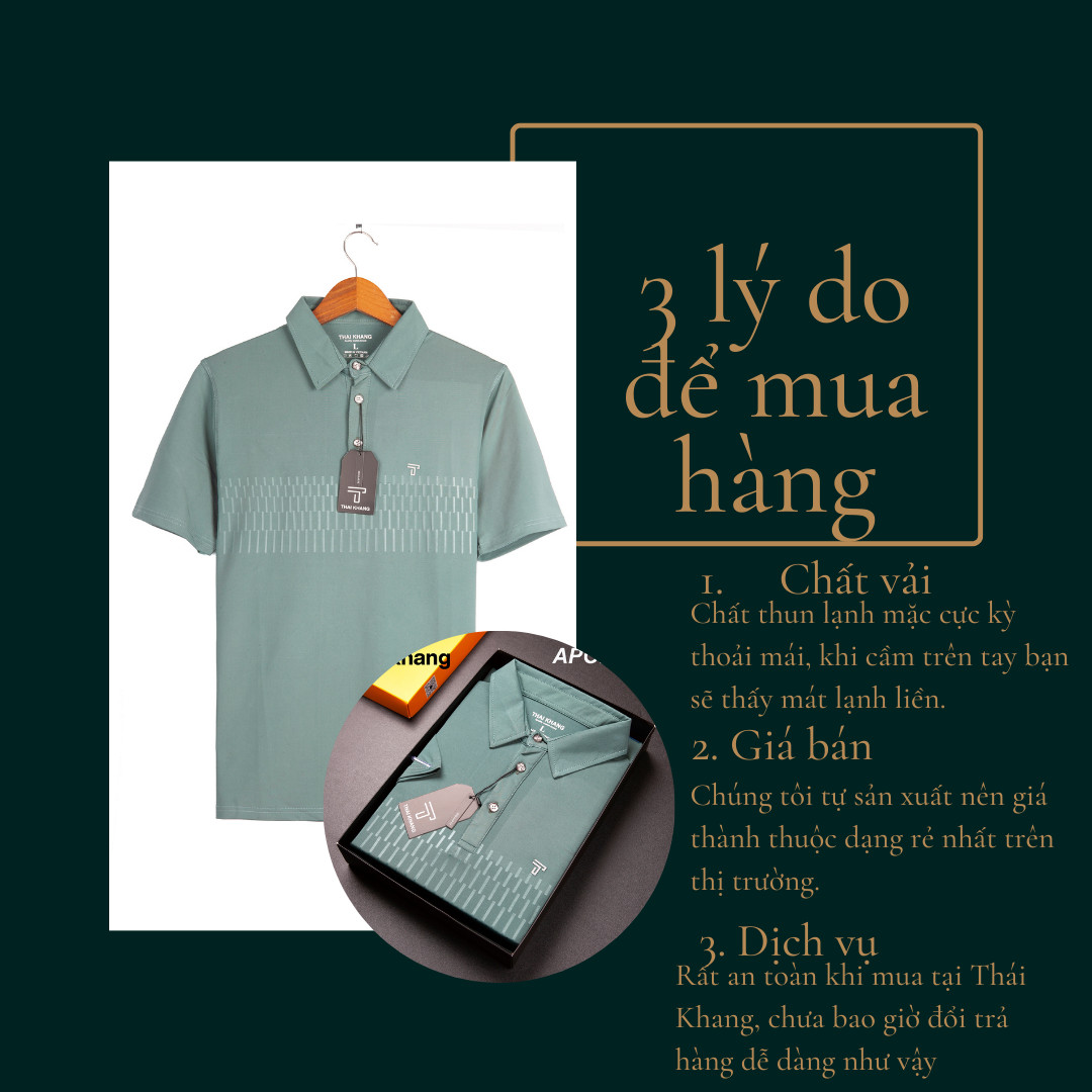 Áo thun polo nam THÁI KHANG vải thun lạnh mặc cực mát co dãn 4 chiều APOLO38