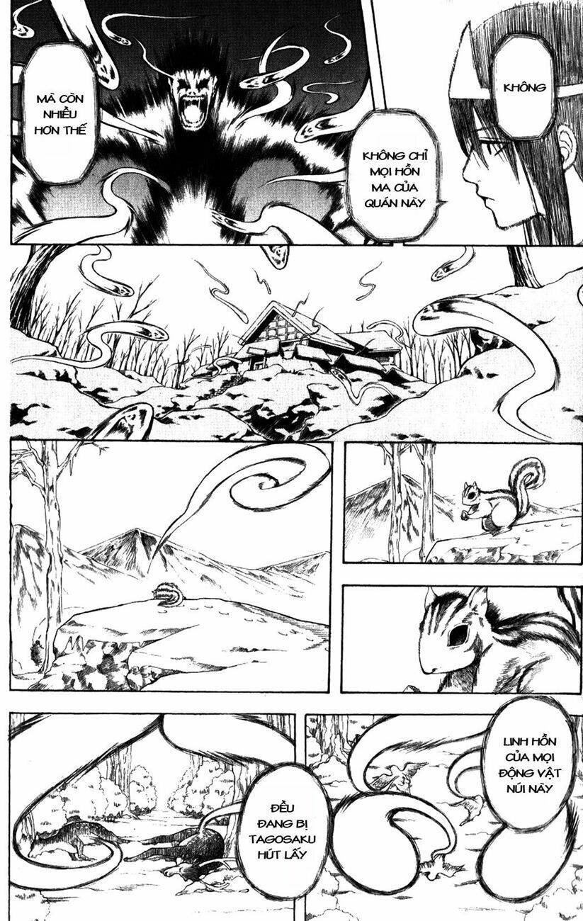 gintama - linh hồn bạc chapter 201 4