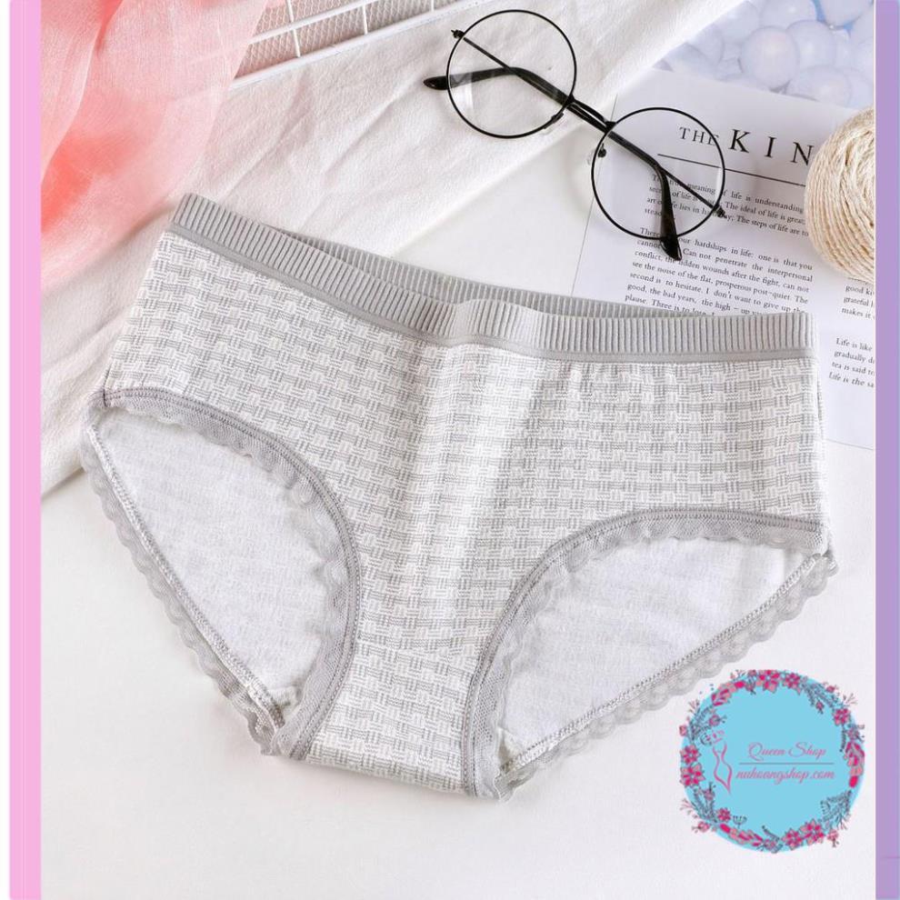 Quần Lót Cotton Sợi Bông Co Giãn Kháng Khuẩn DL101