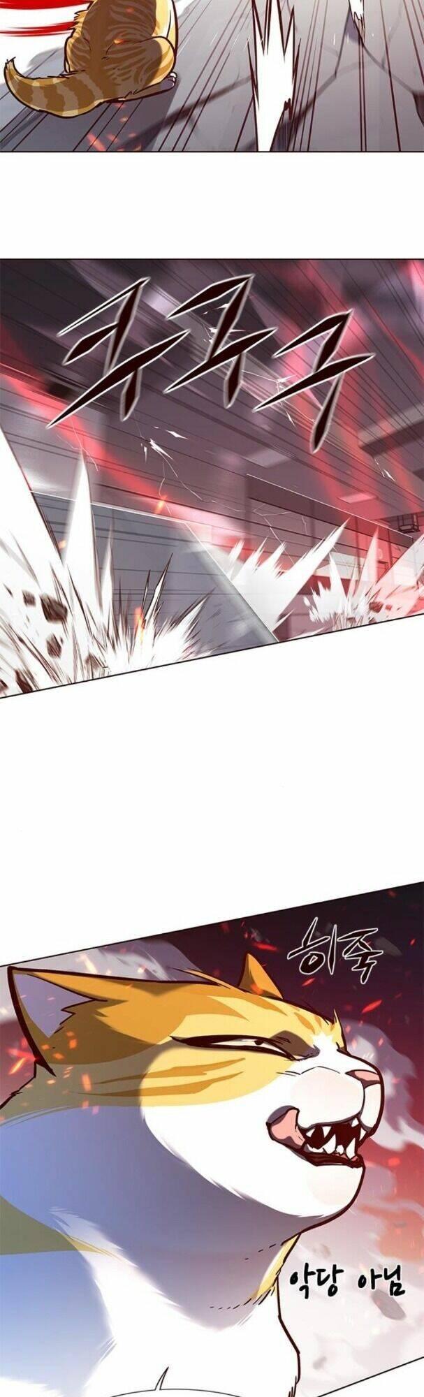 biến thân thành mèo chapter 163 38