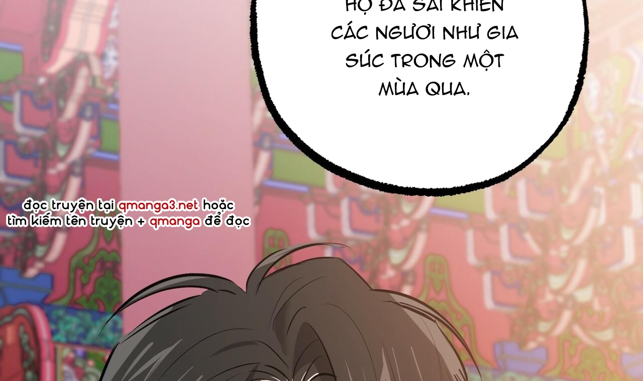 những chú thỏ của hapypy chapter 49 148