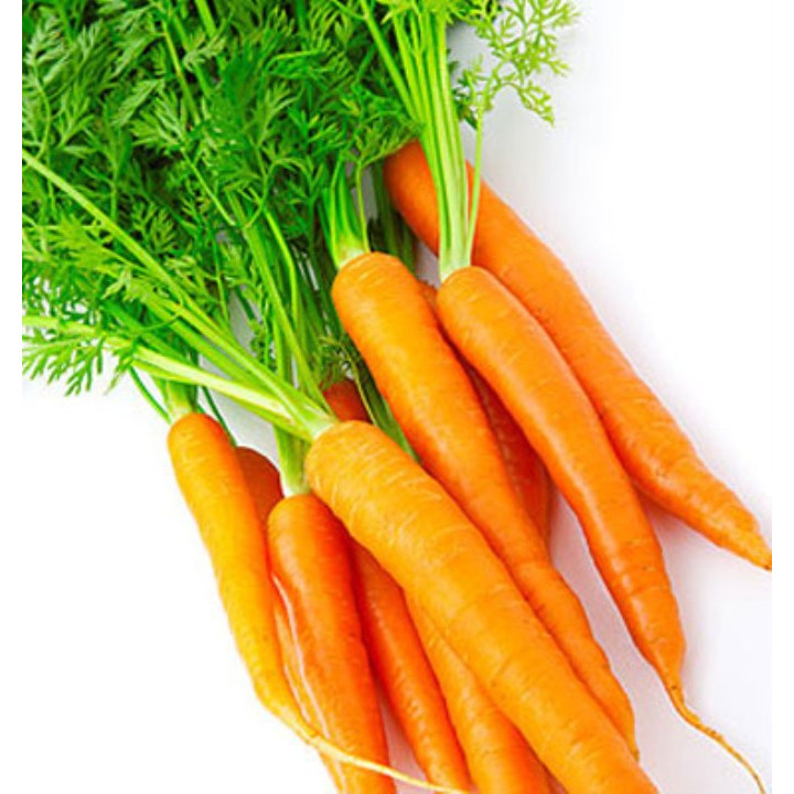 5gram hạt giống cà rốt