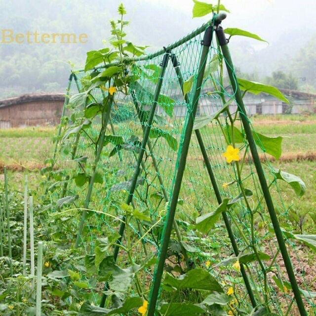 1 mét vuông lưới giàn cho cây leo - bán từ 2 mét trở lên