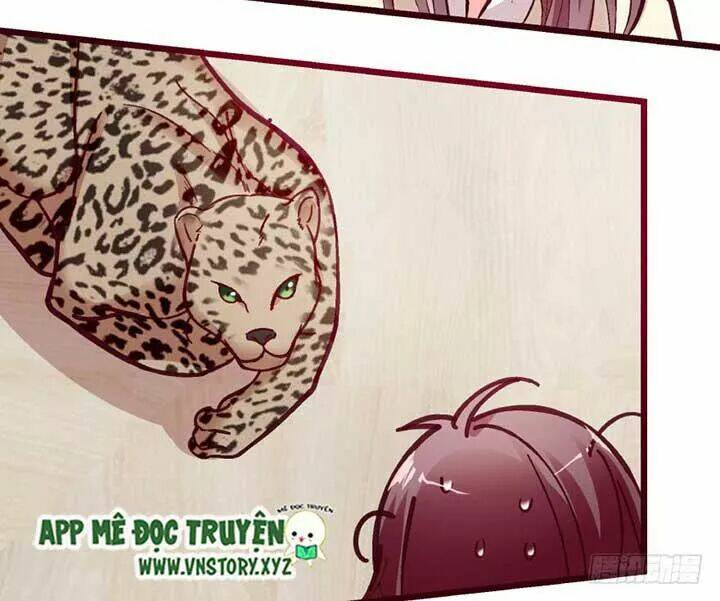 thiên hậu trở về chapter 35 70