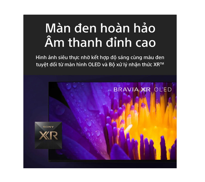 Google Tivi OLED Sony 4K 65 inch XR-65A80L - Model 2023 - Hàng chính hãng - Chỉ giao Hà Nội