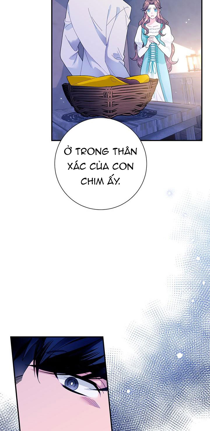 công chúa của loài chim chapter 52.1 19