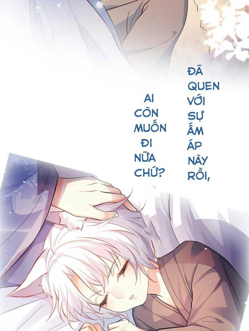 Tiểu Hồ Ly Hôm Nay Có Chút Ngoan chapter 0 15