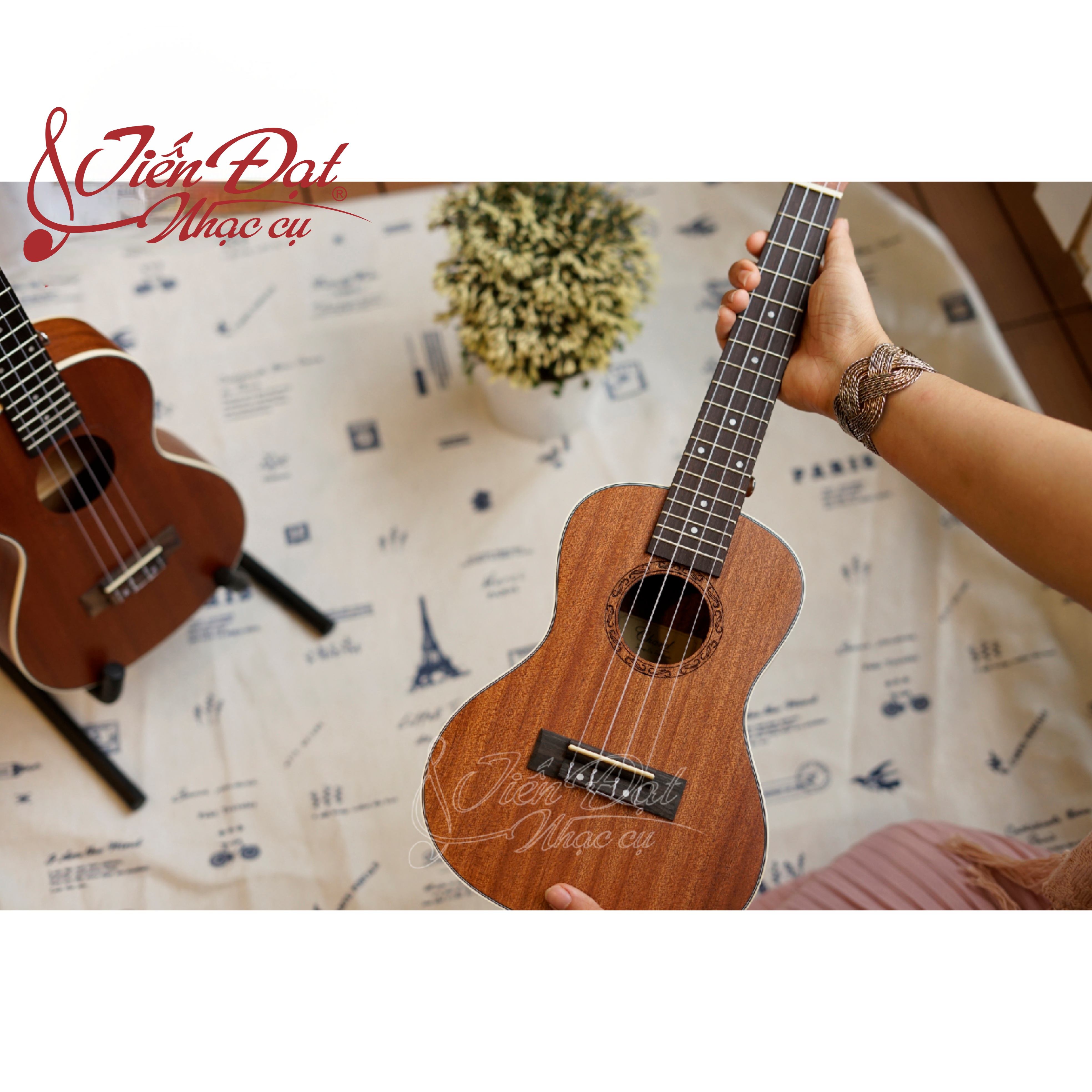 Đàn Ukulele Concert Chard U-24A, Mặt Đàn Gỗ Gụ - Hàng Chính Hãng