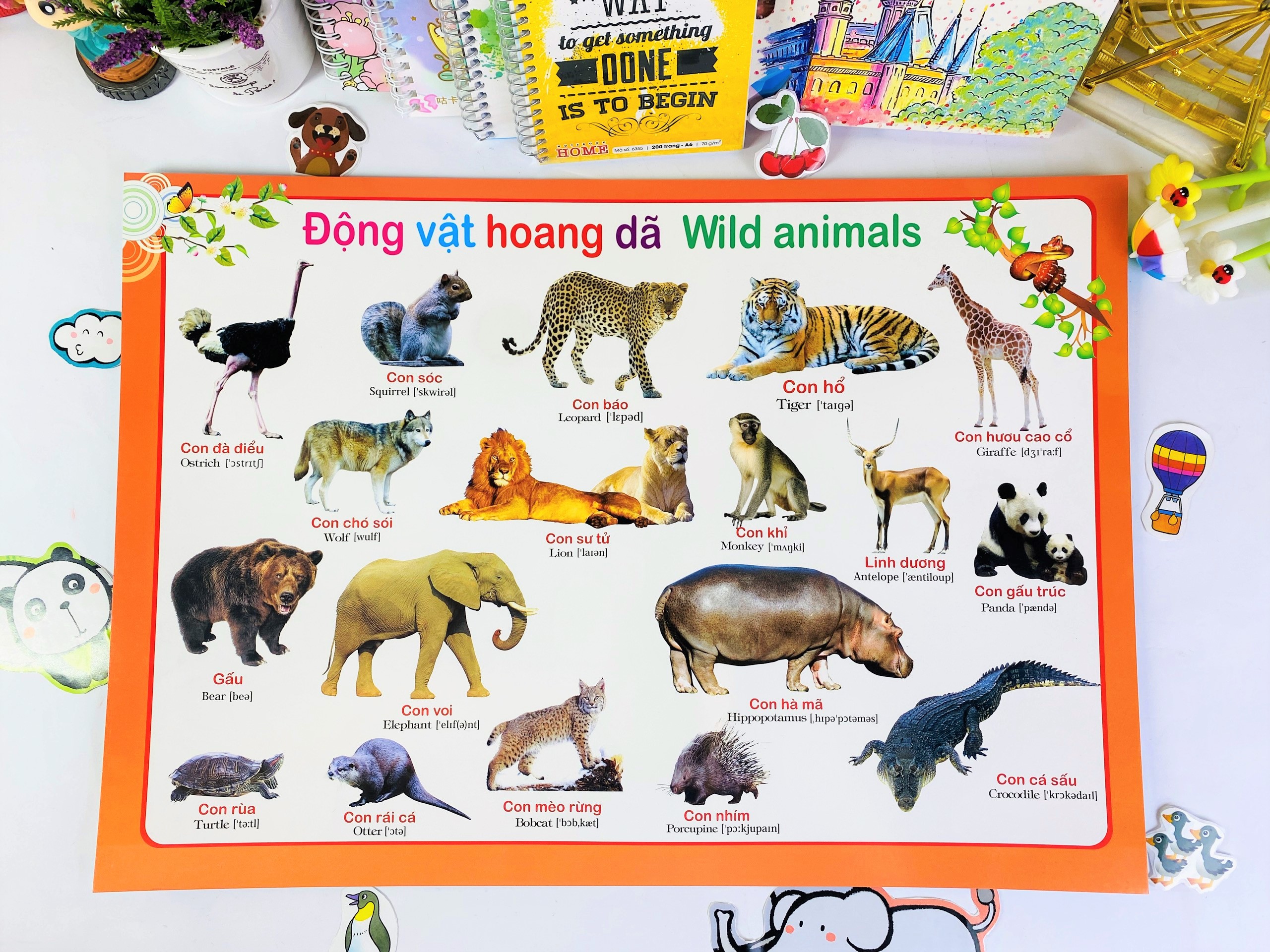 Sách - Combo 9 tờ Tranh Dành Cho Bé - ndbooks