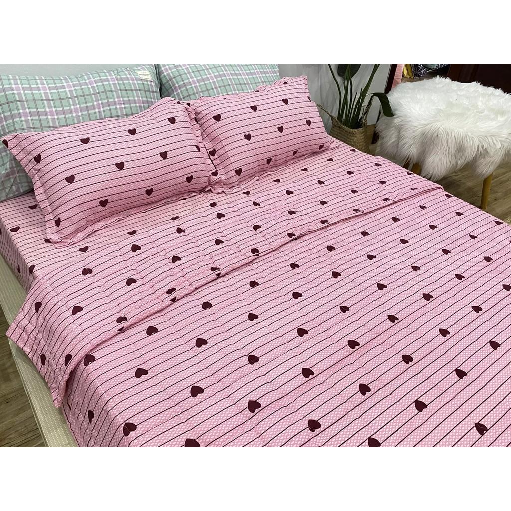 Bộ 5 Món Chăn Hè Ga Gối Mẫu Kẻ tim nhỏ