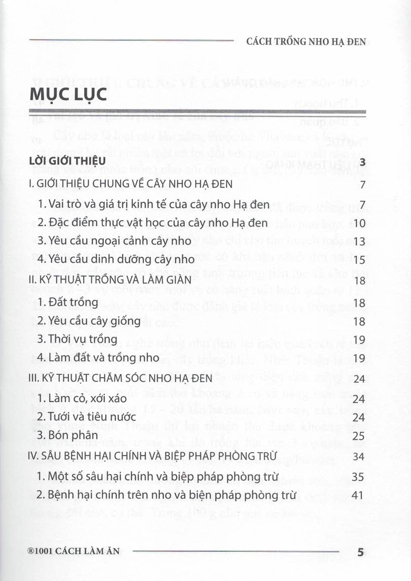 Cách Trồng NHO HẠ ĐEN