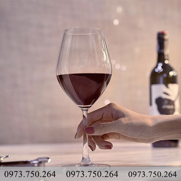 Ly uống rượu vang đỏ 420ml - Bộ 6 ly rượu vang Ocean Thái Lan
