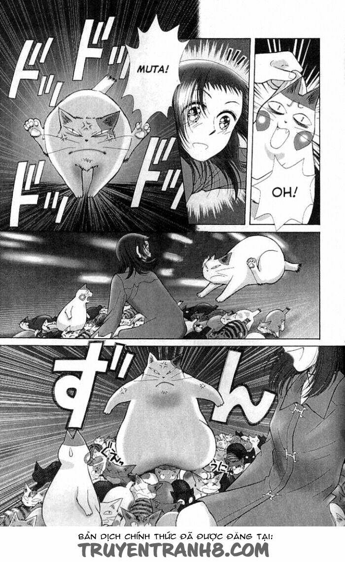 mimi wo sumaseba - lời thì thầm từ trái tim chapter 7 41