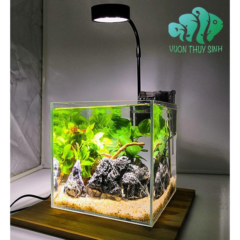 Đèn thuỷ sinh, tiểu cảnh mini đế gỗ
