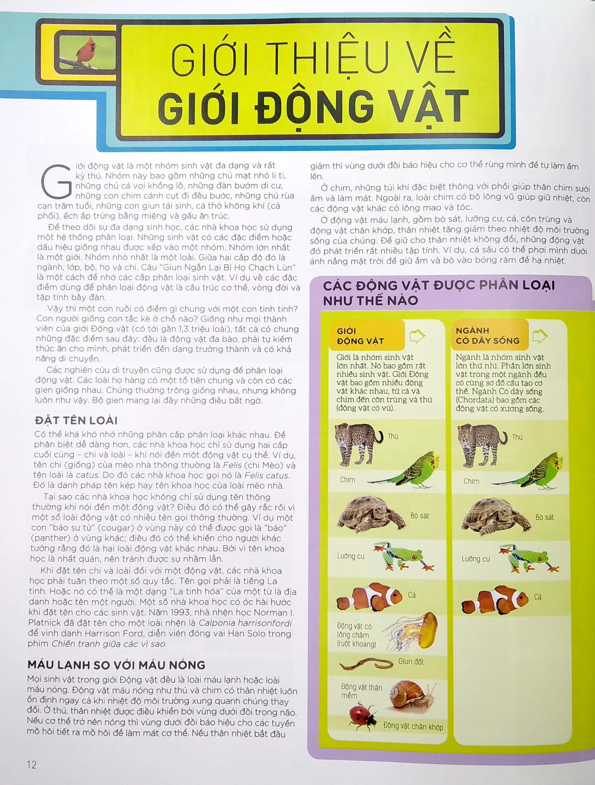 Bách Khoa Thư Động Vật