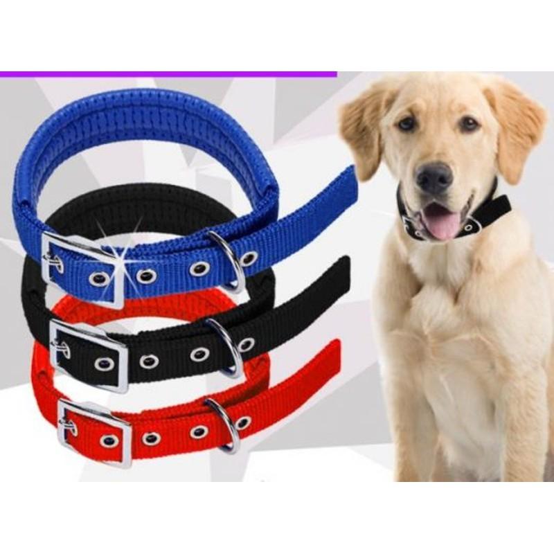 Vòng cổ cho chó Vòng cổ đệm da êm ái cho thú cưng