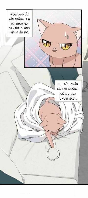 một cuộc sống kỳ lạ chapter 2 43