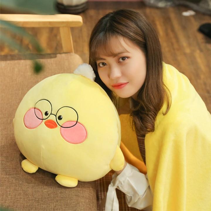 Gối mền gấu bông Totoro bộ chăn gối văn phòng siêu đáng iu với thú bông đút tay 30*35cm và mền 1*1,7m