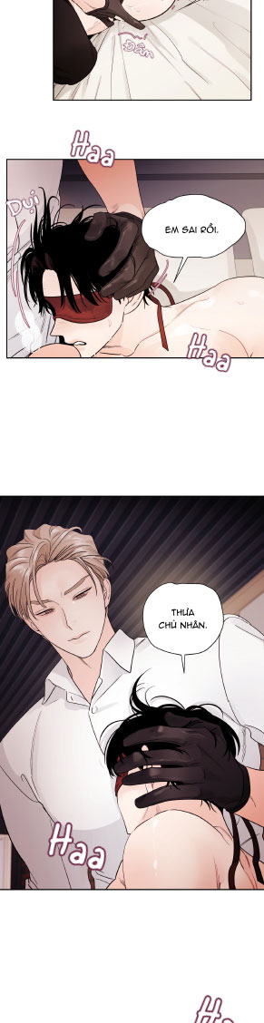 cái bóng của tôi chapter 11 15