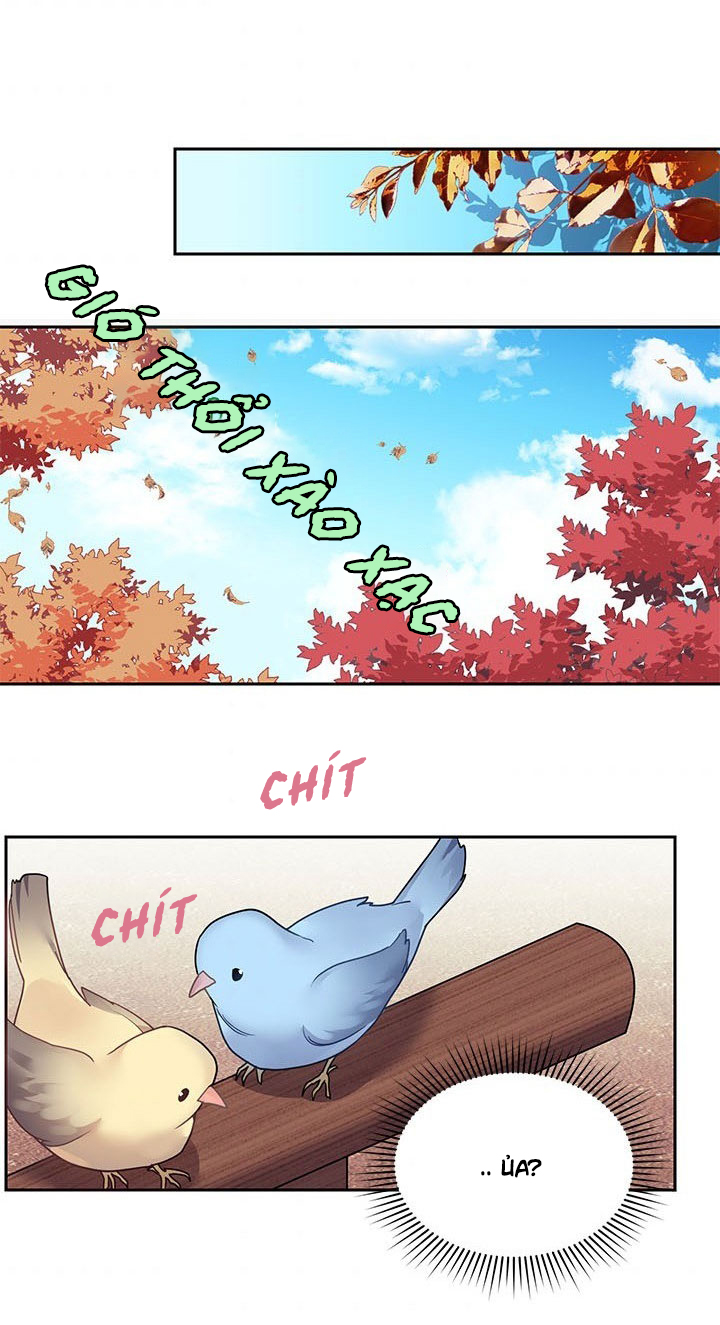 công chúa của loài chim chapter 1 45