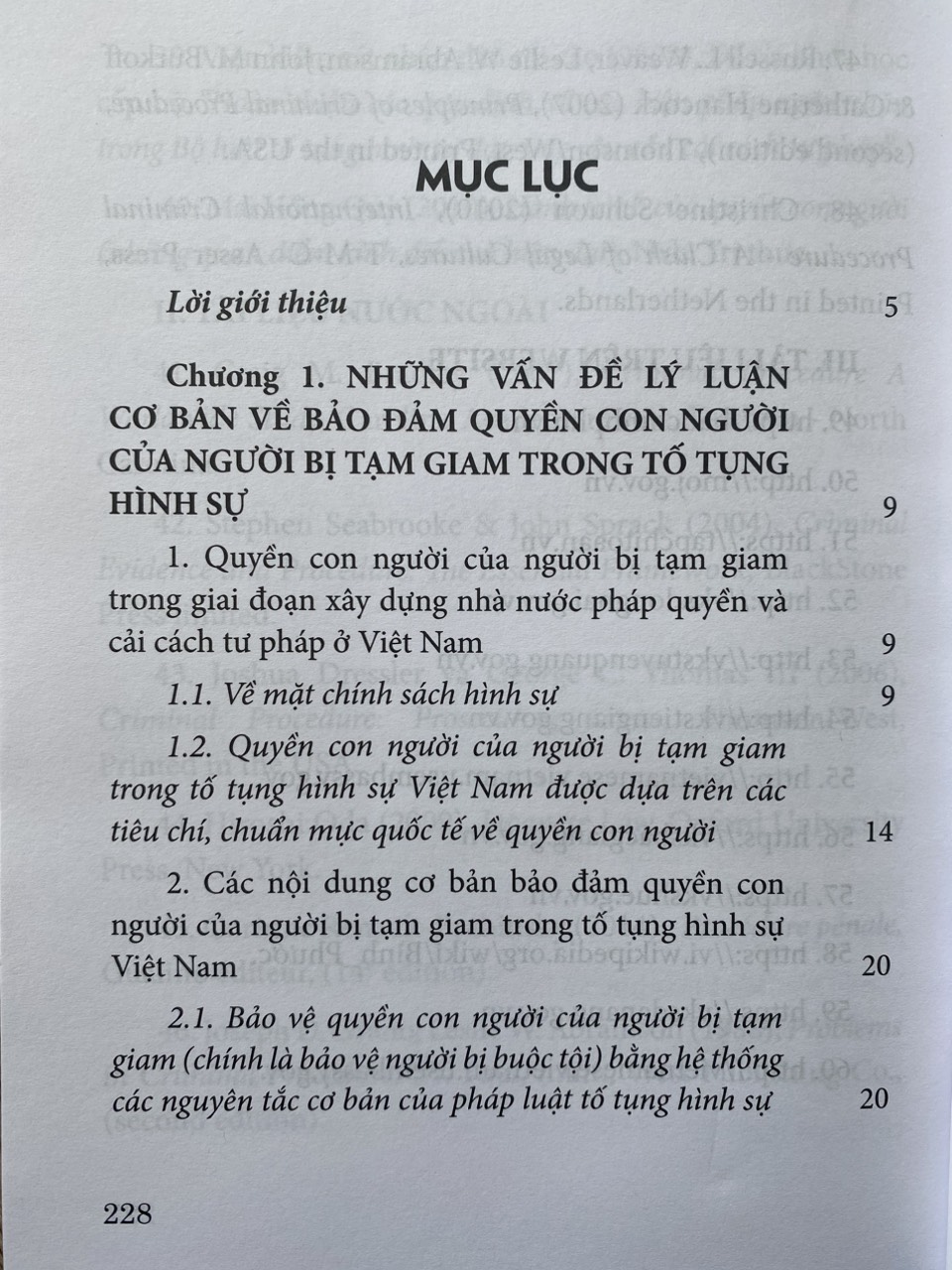 Biện Pháp Tạm Giam Trong Tố Tụng Hình Sự Việt Nam