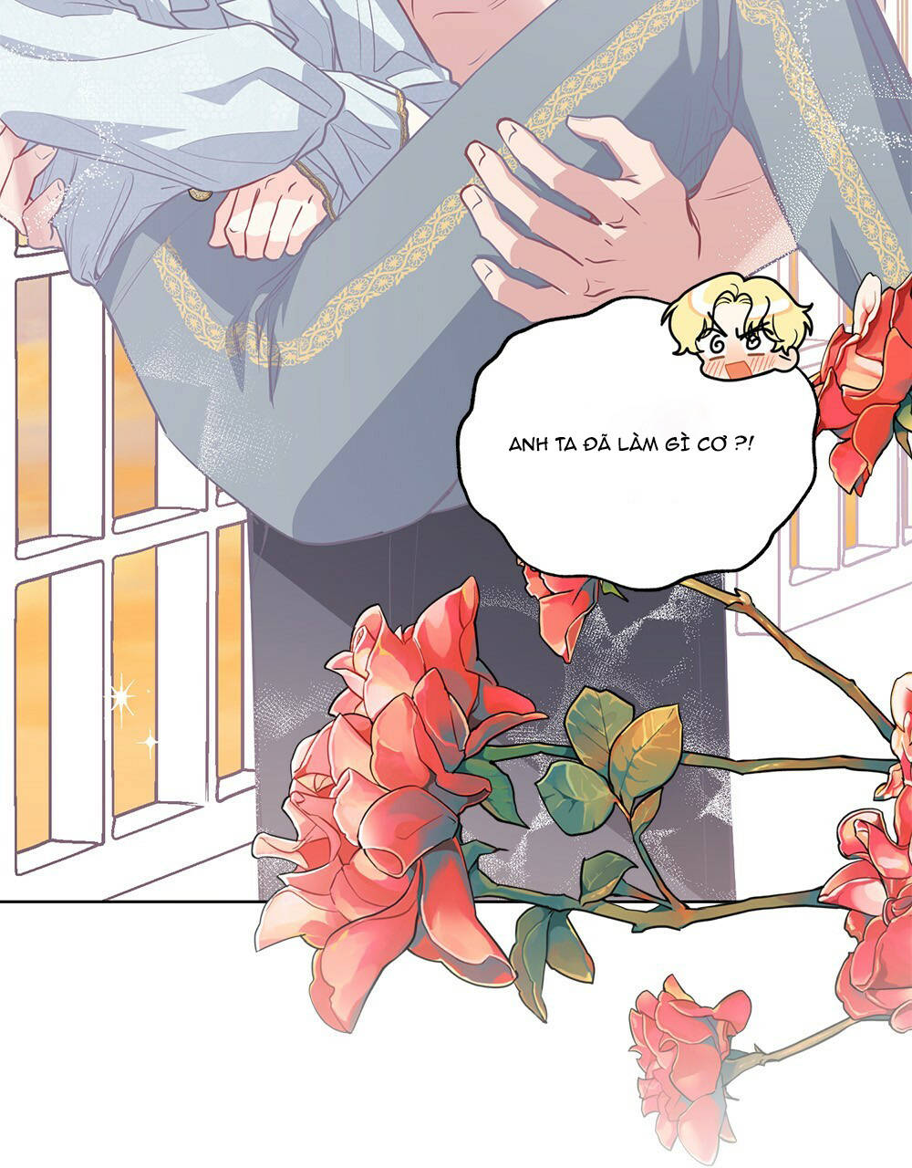 đi tìm nàng camellia chapter 20.1 9