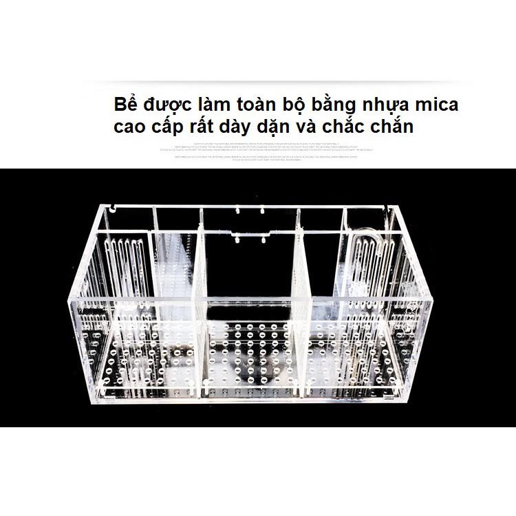 Hộp acrylic nuôi cá chọi betta 4 ngăn trong suốt