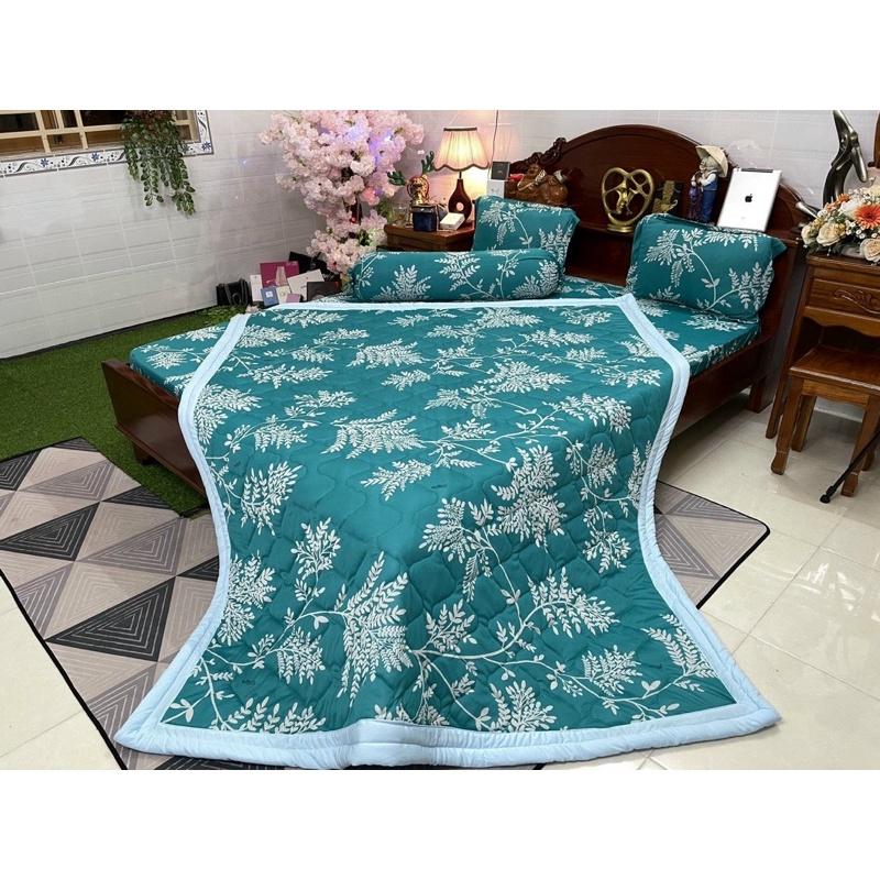Drap thun hàn quốc