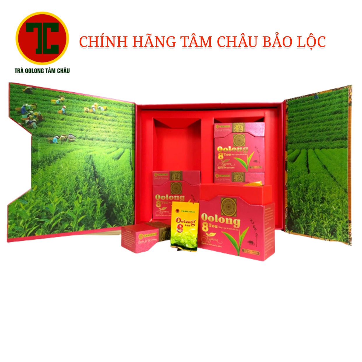 Trà Oolong hộp 8tea Tâm Châu 320g