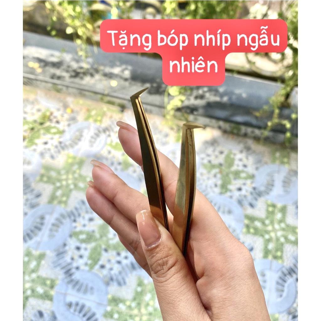 Nhíp volume vàng tặng bóp nhíp ngẫu nhiên_dụng cụ nối mi_Dr Tuấn