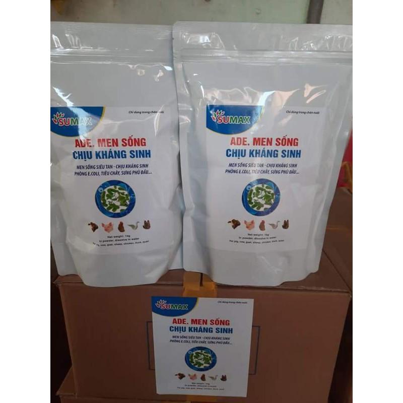 Men sống chịu khang sinh 1kg