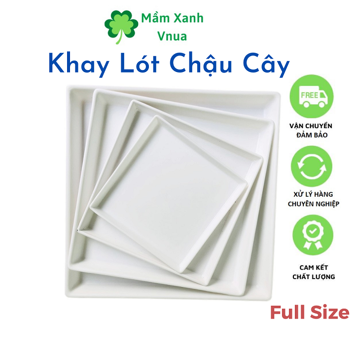 Đĩa Lót Chậu Cây - Khay Lót Chậu Cây - Hình Vuông Full Size