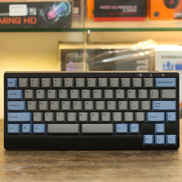 Bàn phím cơ Leopold FC650MDS PD Blue Grey - Hàng chính hãng