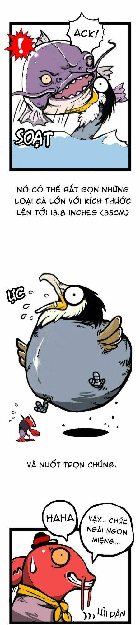 earth, human, and animal chapter 20 13