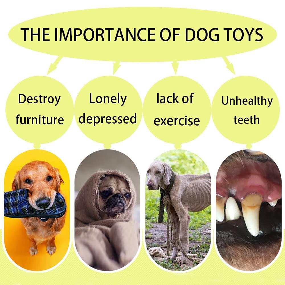 Chó Frisbee, Chó lát, 2 miếng Đồ chơi chó FRISBEE, vận chuyển cao su, cho đất và nước, thể thao ngoài trời, vườn, công viên và đồ chơi trẻ em được sử dụng