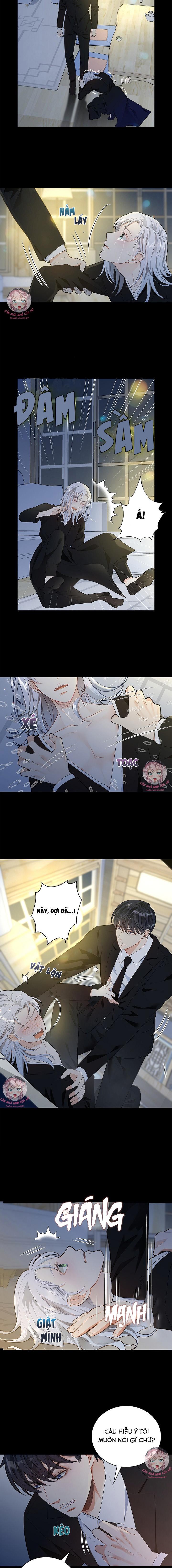 hôn nhân bị đánh cắp của hồ ly chapter 1 7