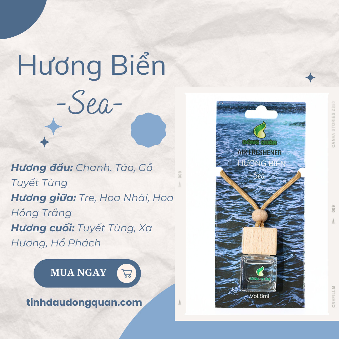 Tinh Dầu Treo Xe Ô Tô, Phòng Ngủ, Nhà Vệ Sinh, Tủ Quần Áo, Tủ Giầy, Bỏ Cốp Xe, Balo Giúp Làm Thơm, Thư Giãn, Khử Mùi Hôi