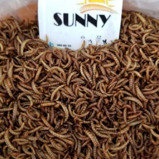 Sâu nhỏ rang cho hamster, sóc,nhím 100g