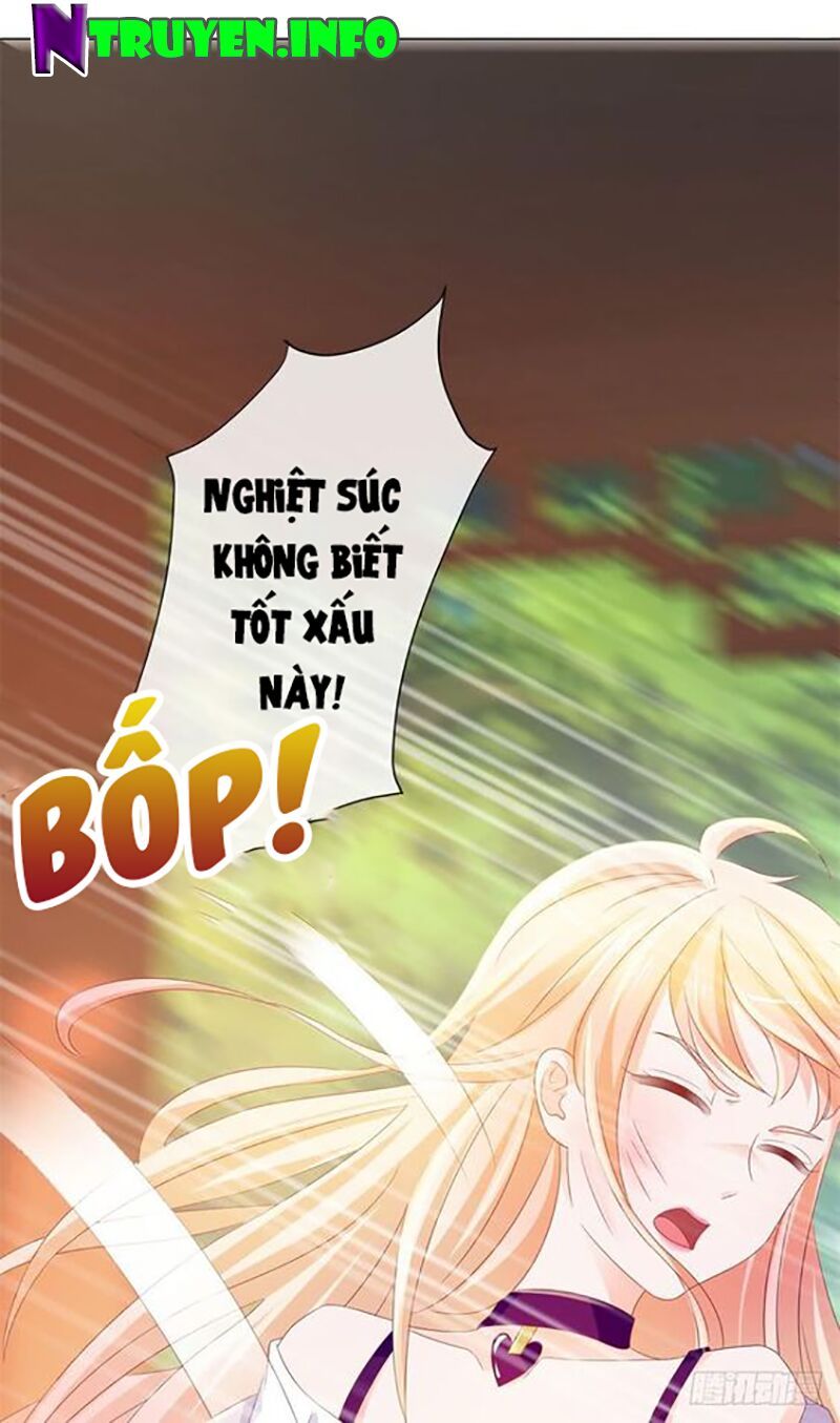 ẩn hôn 100%: chọc tức vợ yêu mua một tặng một chapter 82 24