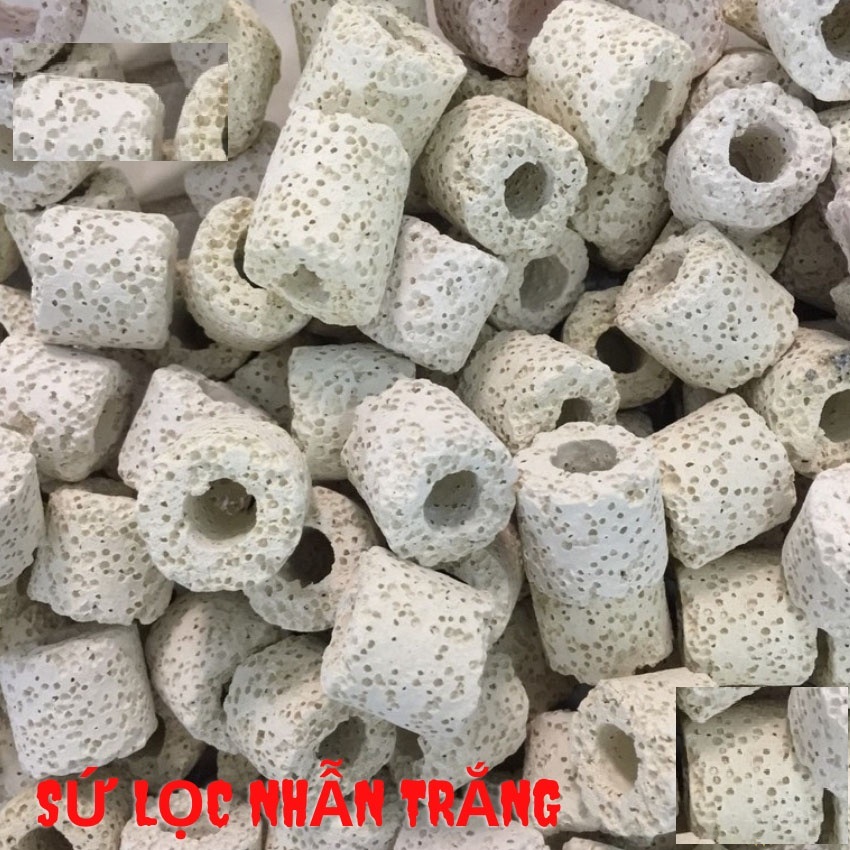 Vật liệu loc sứ lọc nhẫn trắng lọc nước bể cá. Vật Liệu Lọc sứ có khả năng nuôi vi sinh có lợi cho môi trường nước hồ cá