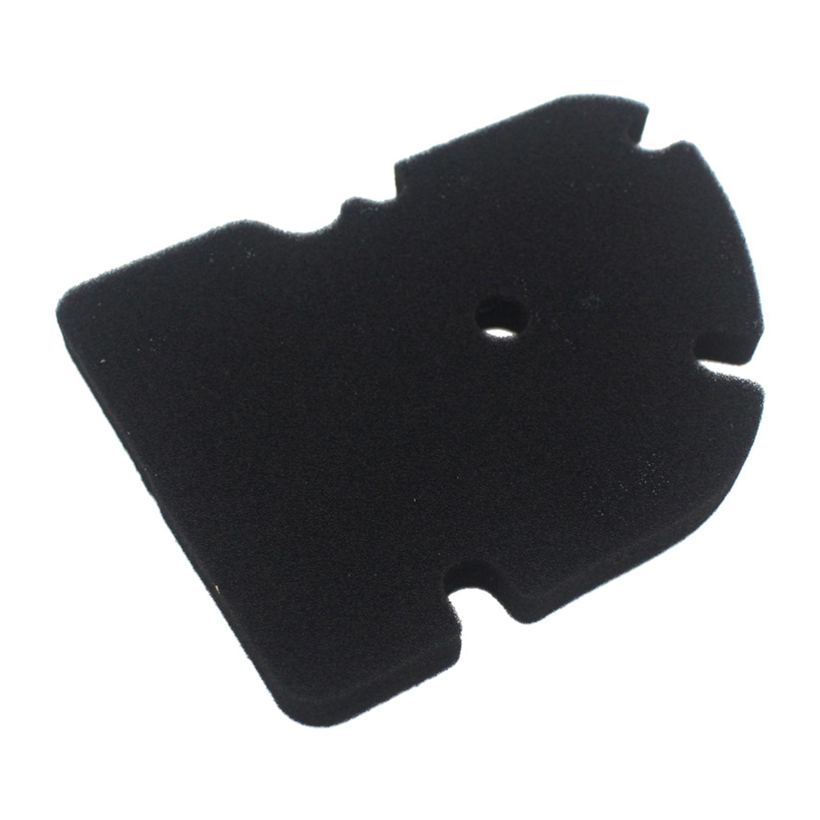 Premium Sponge   Air Filter for  GTV 250 300  250