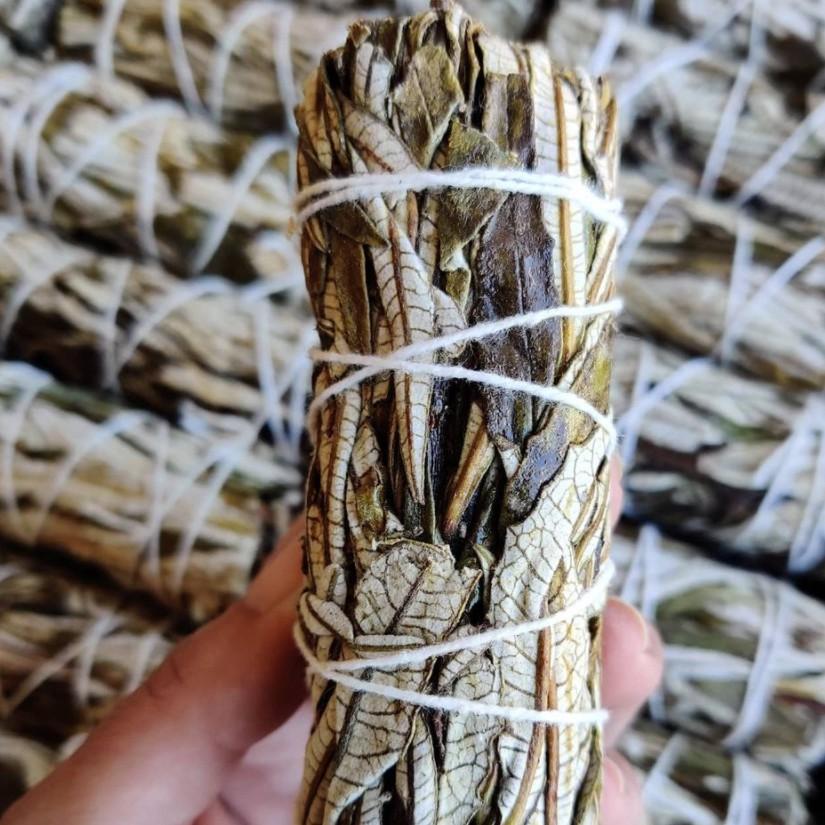 Xô Thơm Thánh Thảo Dược (Yerba Santa) Thiền Định Tâm Linh & Khai Thông Luân Xa l XÔ THƠM THANH TẨY