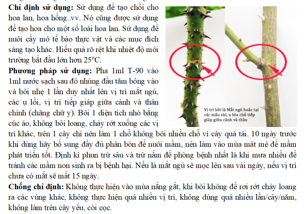 (Tặng siêu lân 40gr kích rễ ) Siêu phẩm kích mầm cho hoa hồng, mai vàng T90, bôi đến đâu bật chồi đến đó